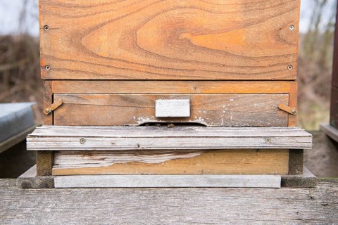 Bee boxes