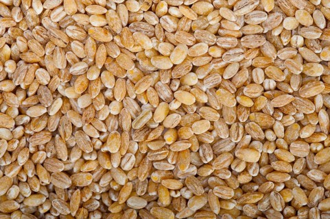 Organic barley grains over rustic wood table macro closeup