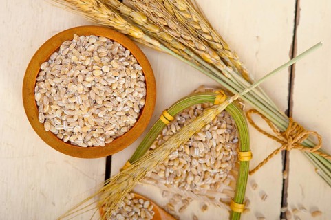 Organic wheat grains over rustic wood table macro closeup