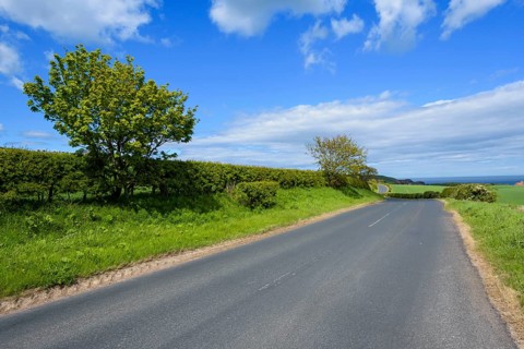 Countryroad in spring