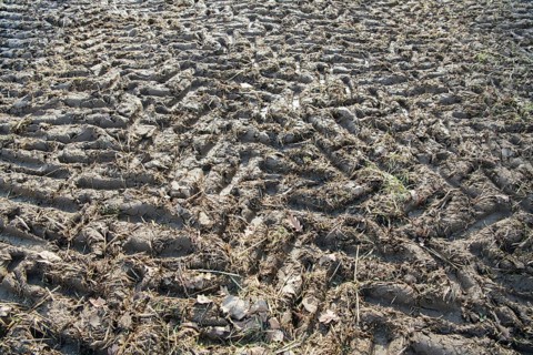 Soil compaction in the field