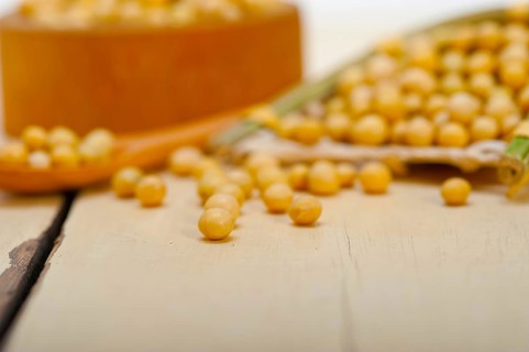 Organic soya beans over rustic wood table macro closeup