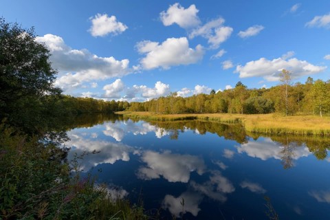 Lake Moorweiher
