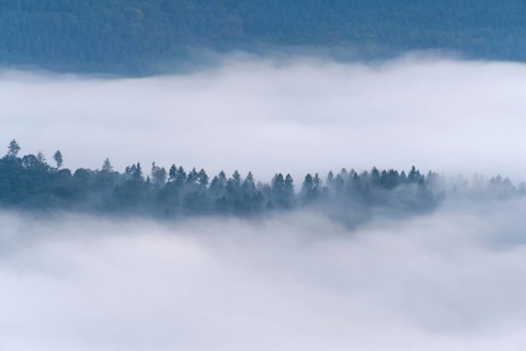 View from Katzenbuckel mountain with morning mist