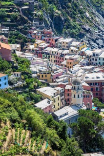 The village of Vernazza with its pastel-coloured houses built into the hillside