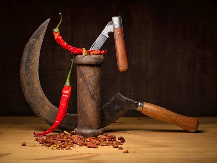 Food photography
