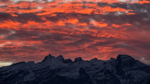 Pink clouds