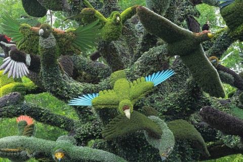 Plant sculpture of birds