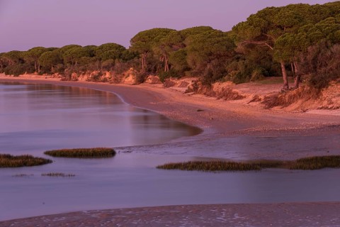Parque natural de la Bahia de Cadiz