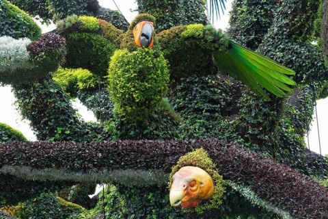 Plant sculpture of birds