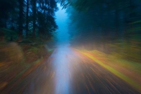 Car driving on autumnal wet road through the forest at dawn