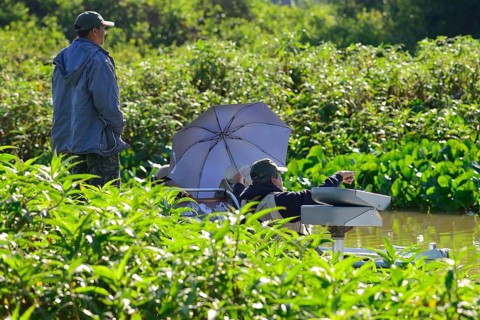 Tourists in a motorboat watching wildlife
