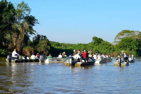 Tourists in motorboats watching wildlife