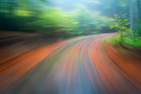 Car driving on autumnal wet road through the forest at dawn