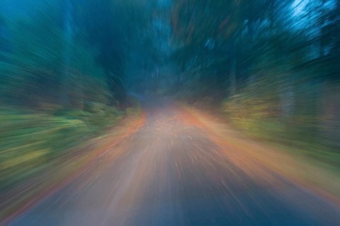 Car driving on autumnal wet road through the forest at dawn
