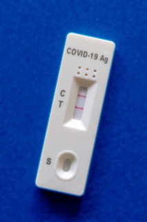 Coronavirus antigen test