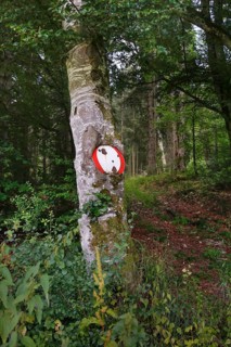 Traffic sign no throughway grown into tree trunk