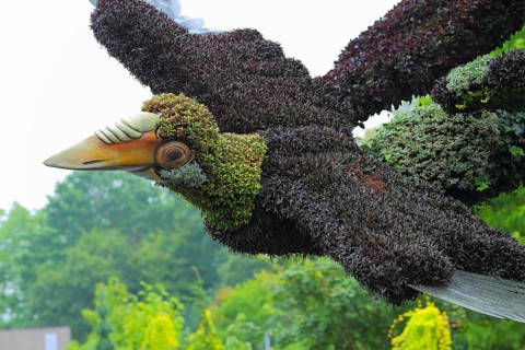 Plant sculpture of birds