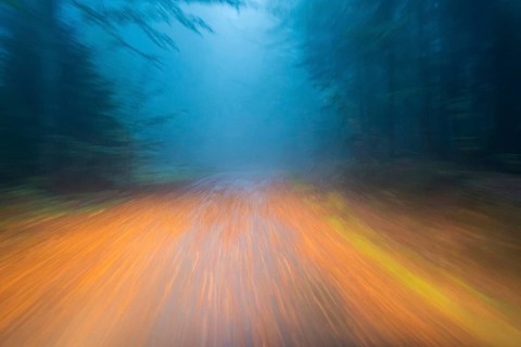 Car driving on autumnal wet road through the forest at dawn