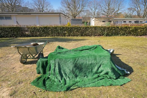 Fresh grave