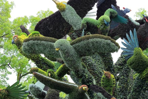 Plant sculpture of birds