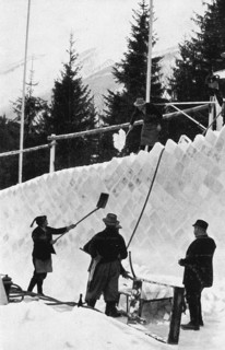 Bobsleighing