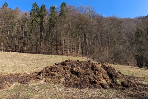 Dung heap in a meadow