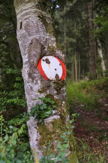 Traffic sign no throughway grown into tree trunk