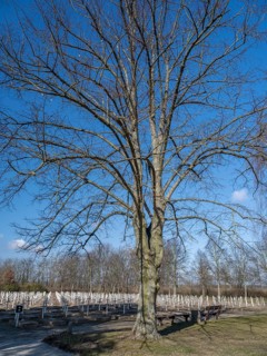 Feldscheune Isenschnibbe Gardelegen memorial