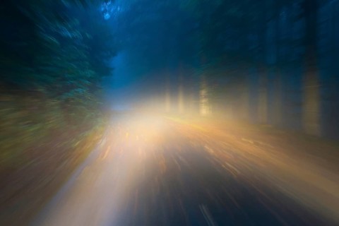 Car driving on autumnal wet road through the forest at dawn