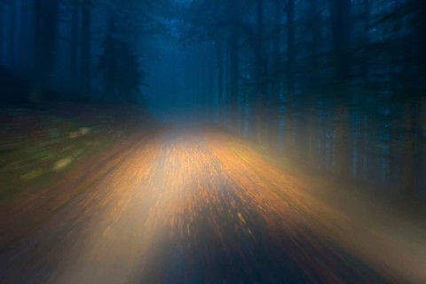 Car driving on autumnal wet road through the forest at dawn