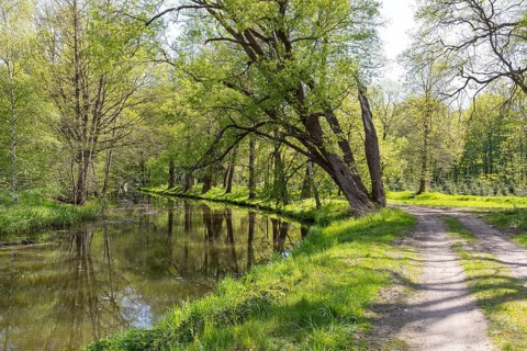 Path through meadows on the Black Elster