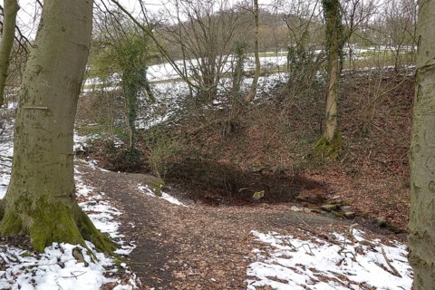 Seven Springs