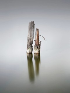 Wooden pile on the Great Jasmund Bodden