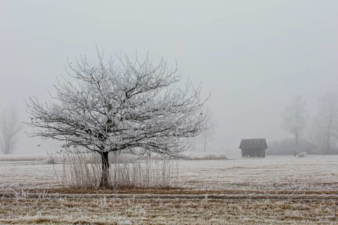 Hut