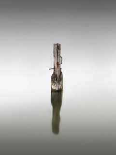 Wooden pile on the Great Jasmund Bodden