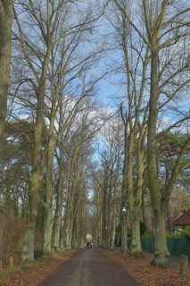 Imchenallee