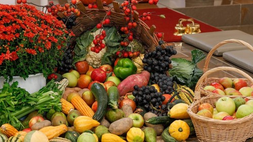 Fruit