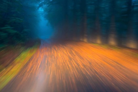 Car driving on autumnal wet road through the forest at dawn