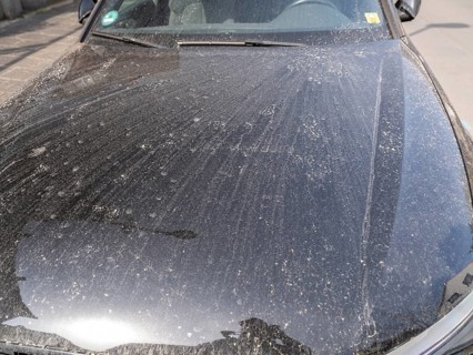 Sahara dust after a rain on the bonnet of a car