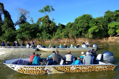 Tourists in motorboats watching wildlife