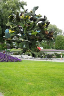 Plant sculpture of birds