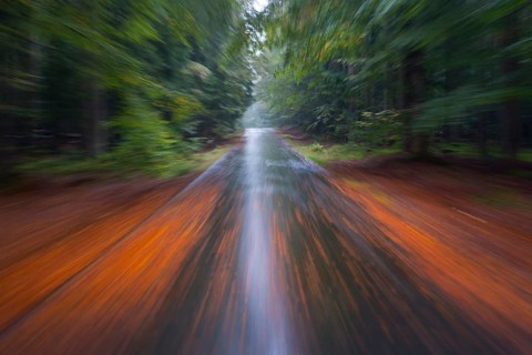 Car driving on autumnal wet road through the forest at dawn