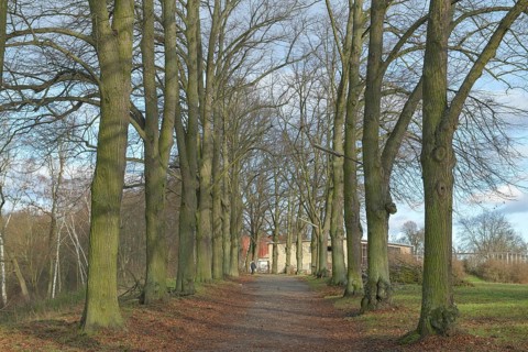 Imchenallee