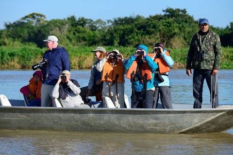 Tourists in a motorboat watching wildlife
