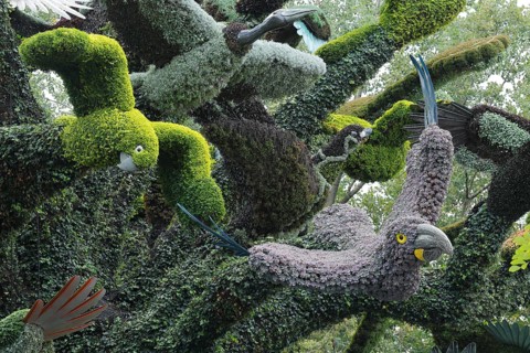 Plant sculpture of birds