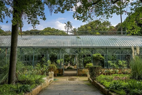 Glass House Conservatory