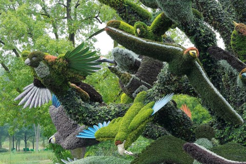 Plant sculpture of birds