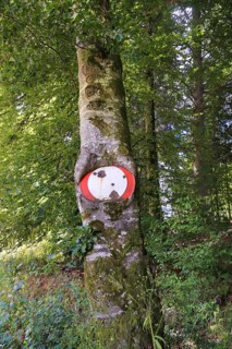 Traffic sign no throughway grown into tree trunk