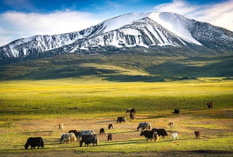 Snow-covered Mount Tsengel. Western Mongolia